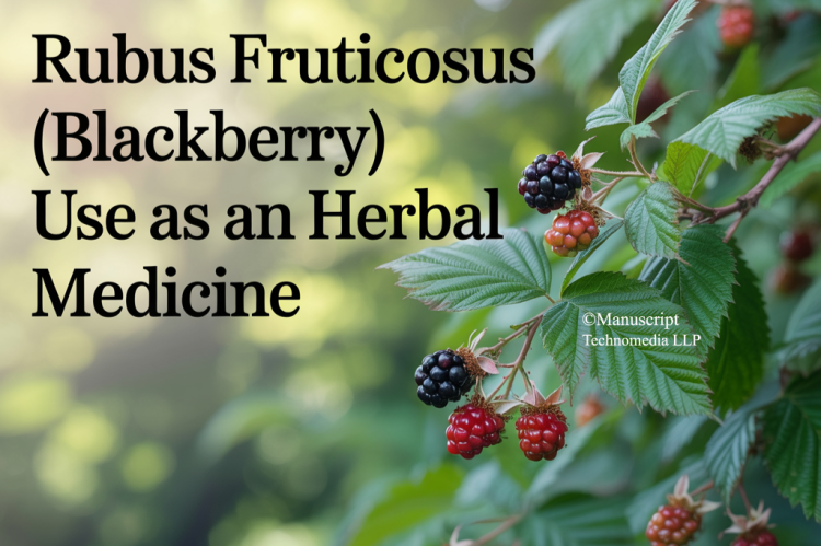 Rubus fruticosus (Blackberry) use as an Herbal Medicine