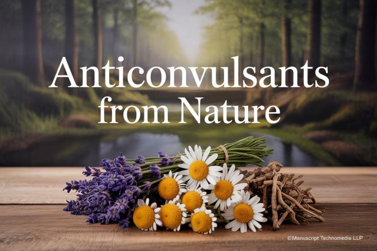 Anticonvulsants from Nature