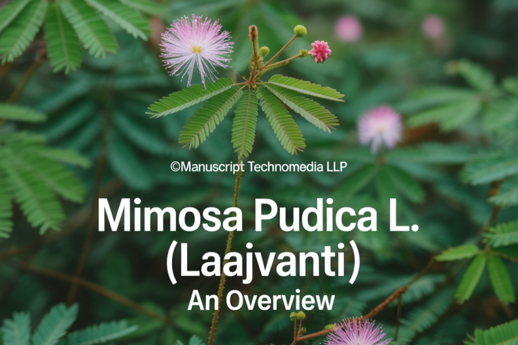 Mimosa pudica L. (Laajvanti): An Overview