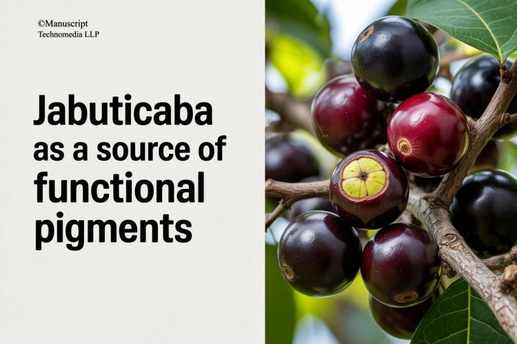 Jabuticaba as a Source of Functional Pigments