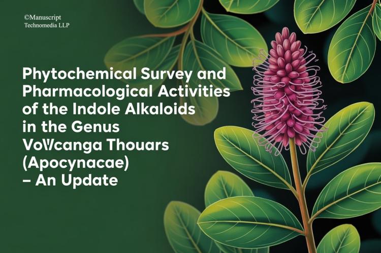Phytochemical Survey and Pharmacological Activities of the Indole Alkaloids in the Genus Voacanga Thouars (Apocynaceae) - An Update