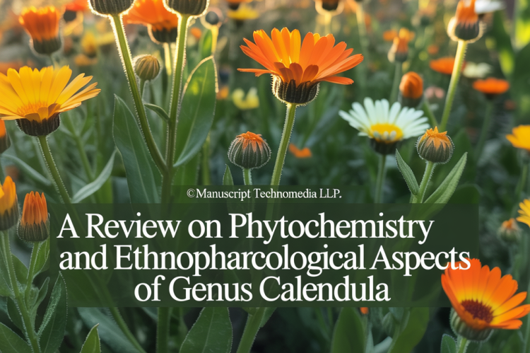 A Review on Phytochemistry and Ethnopharmacological Aspects of Genus Calendula