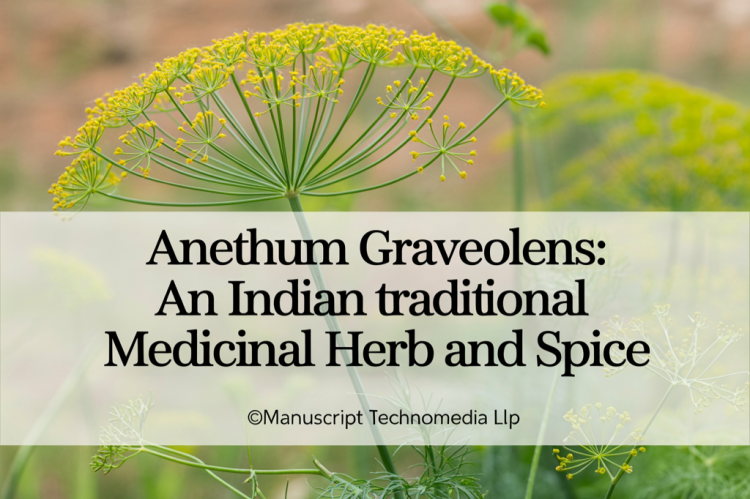 Anethum graveolens: An Indian Traditional Medicinal Herb and Spice