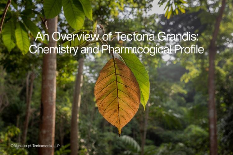An Overview of Tectona grandis: Chemistry and Pharmacological Profile