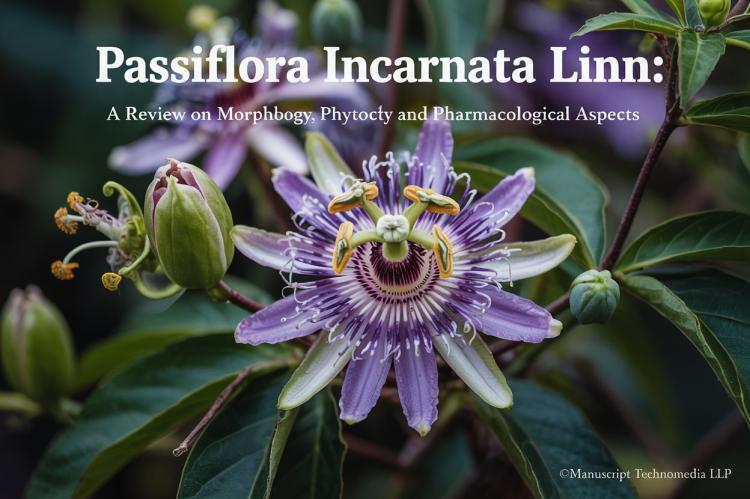 Passiflora Incarnata Linn: A Review on Morphology, Phytochemistry and Pharmacological Aspects