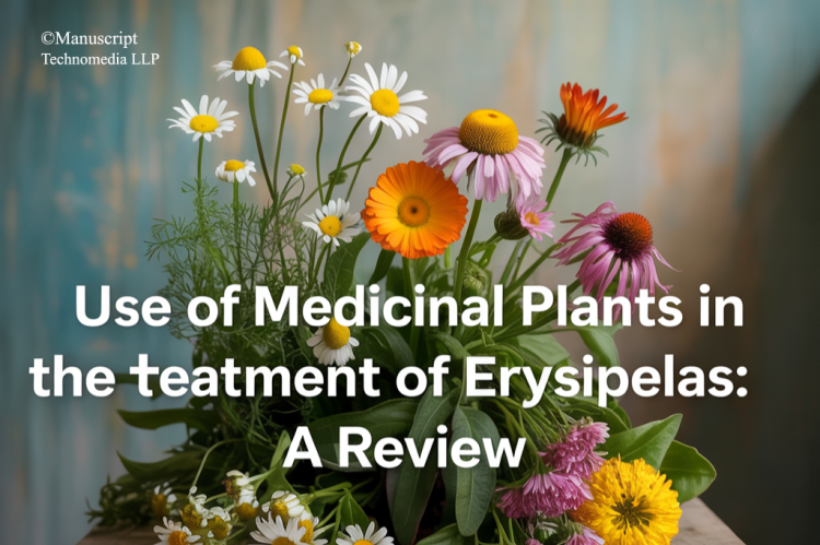 Use of Medicinal Plants in the Treatment of Erysipelas: A Review