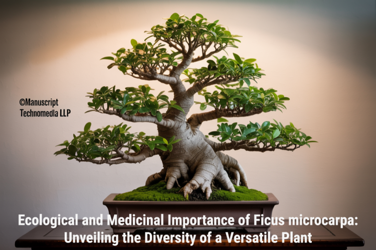 Ecological and Medicinal Importance of Ficus microcarpa: Unveiling the Diversity of a Versatile Plant