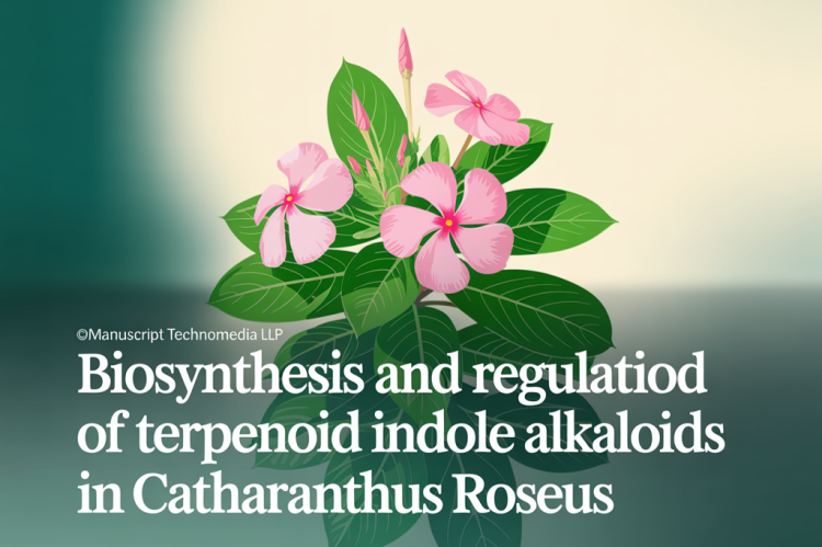 Biosynthesis and Regulation of Terpenoid Indole Alkaloids in Catharanthus roseus