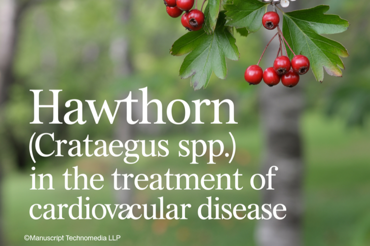 Hawthorn (Crataegus spp.) in the Treatment of Cardiovascular Disease