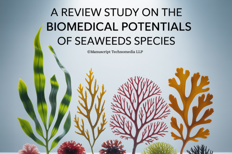 A Review Study on the Biomedical Potentials of Seaweeds Species