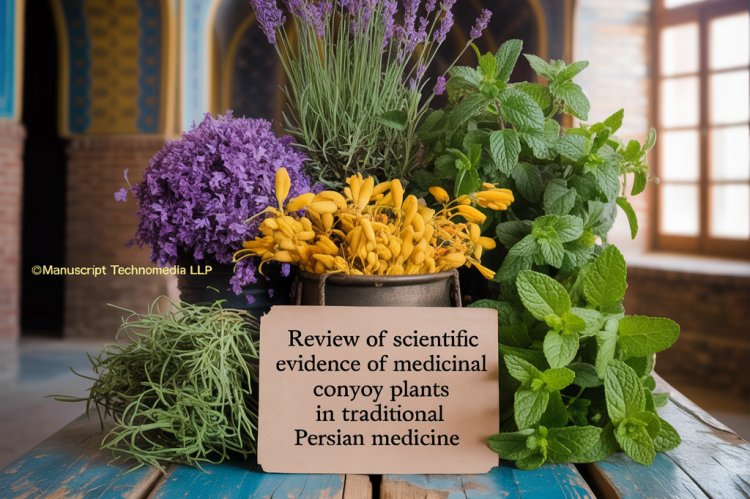 Review of Scientific Evidence of Medicinal Convoy Plants in Traditional Persian Medicine