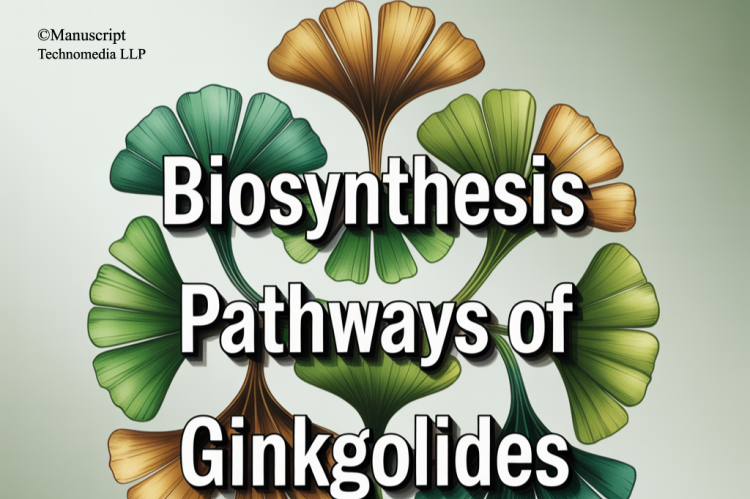 Biosynthesis Pathways of Ginkgolides
