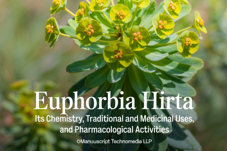 Euphorbia Hirta: Its Chemistry, Traditional and Medicinal uses, and Pharmacological Activities