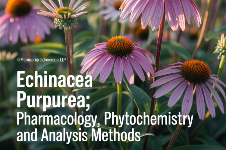 Echinacea purpurea: Pharmacology, Phytochemistry and Analysis Methods
