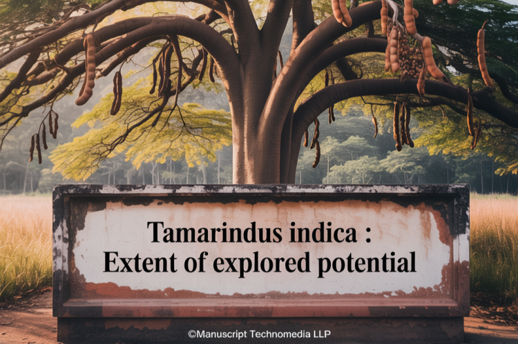 Tamarindus Indica : Extent of Explored Potential