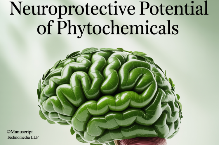 Neuroprotective Potential of Phytochemicals