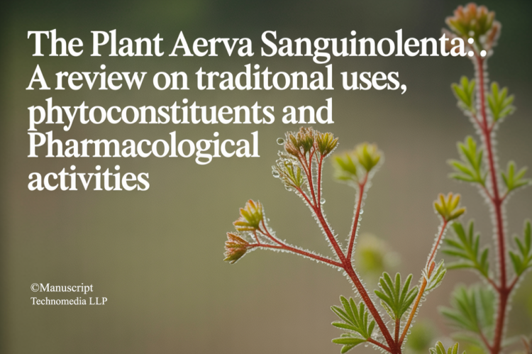 The Plant Aerva sanguinolenta: A Review on Traditional uses, Phytoconstituents and Pharmacological Activities