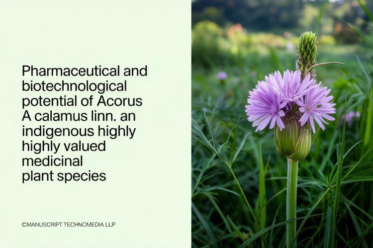 Pharmaceutical and Biotechnological Potential of Acorus Calamus Linn.: An Indigenous Highly Valued Medicinal Plant Species