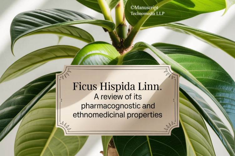Ficus Hispida Linn.: A review of its Pharmacognostic and Ethnomedicinal Properties