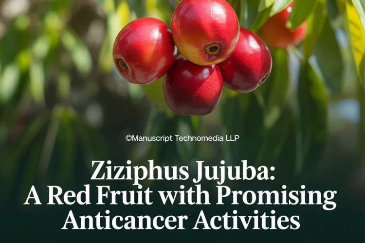 Ziziphus jujuba: A Red Fruit with Promising Anticancer Activities