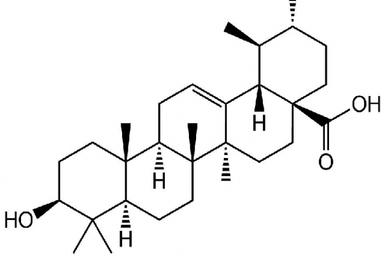 Chemical components in Punica granatum L., which involve in anti-hyperglycemia, Ursolic acid