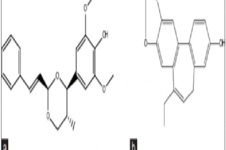 Structure of cinnamic aldehyde cyclic syringyl glycerol 1, 3-acetal 