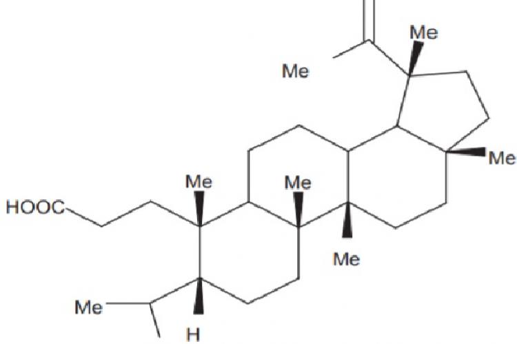 3, 4‑Seco‑lup‑20 (29)‑en‑3‑oic acid