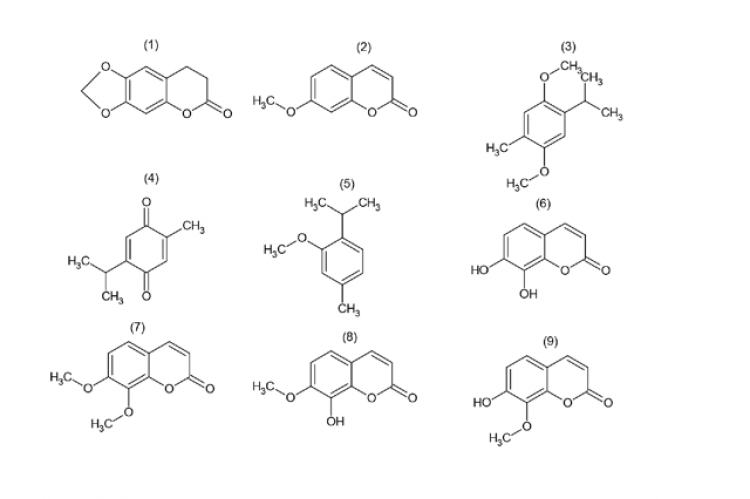  Secondary metabolites reported in the scientific literature for  A. triplinervis.