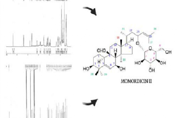 Identification of Momordicin II, Based on NMR1H and NMR13C.[62]