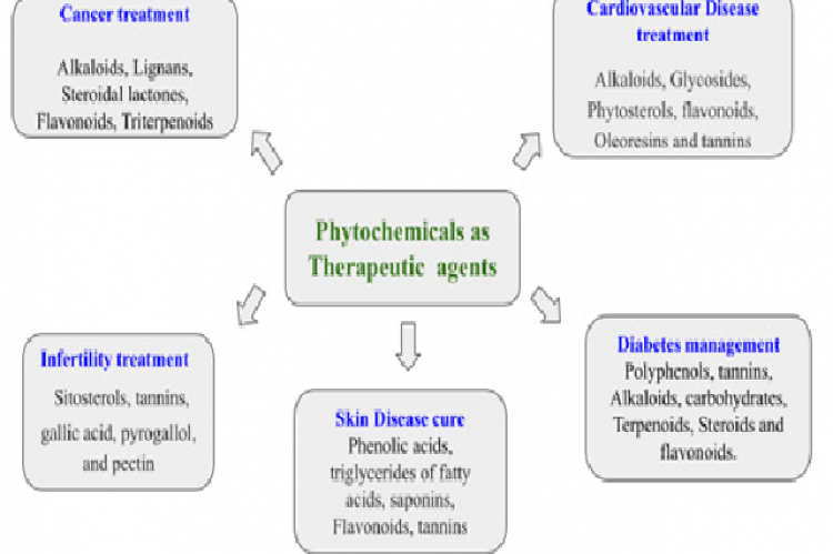 Diagram depicting various phytochemicals used in treatment of diseases.
