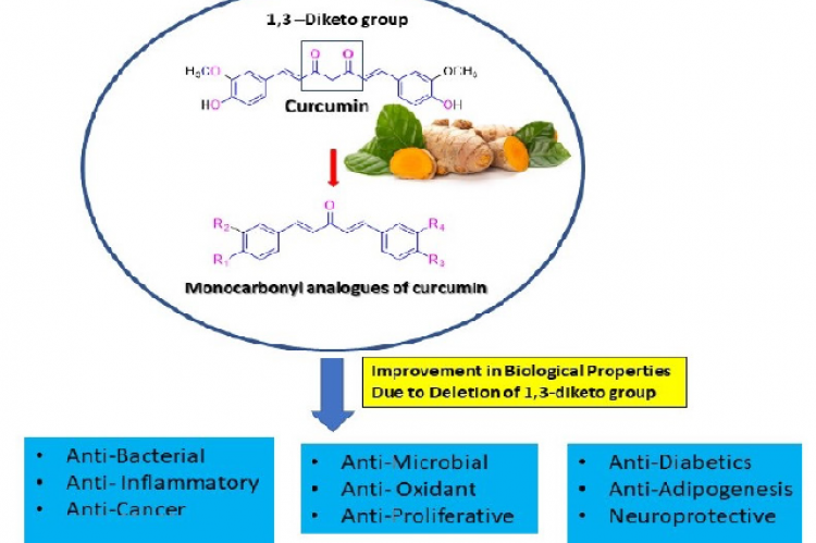 Structural Modification of Curcumin into more stable Monocarbonyl Analogues of Curcumin