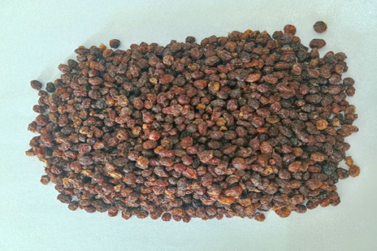 Dried Berries of Hippophae rhamnoides Linn