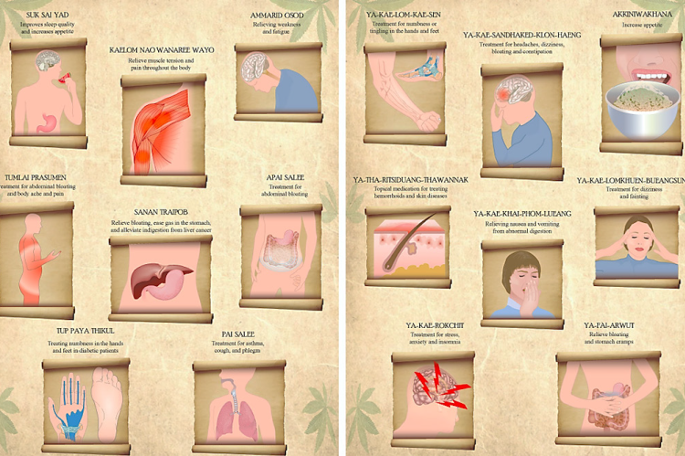 Historically important Thai medicines containing Cannabis with traditional indications.