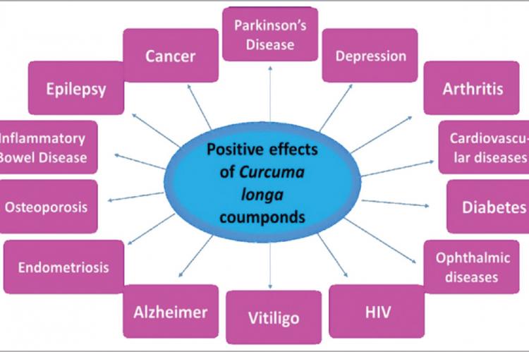 Curcuma longa compounds may positively influence several pathologies