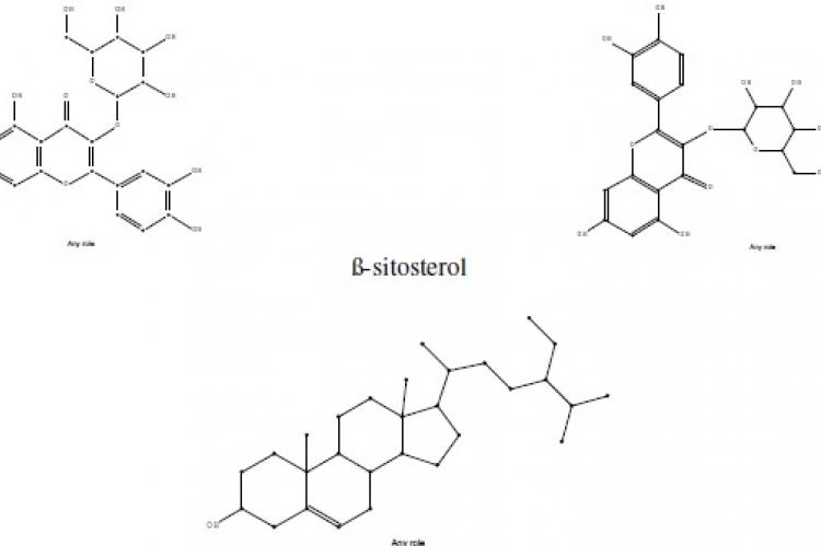 ß-sitosterol