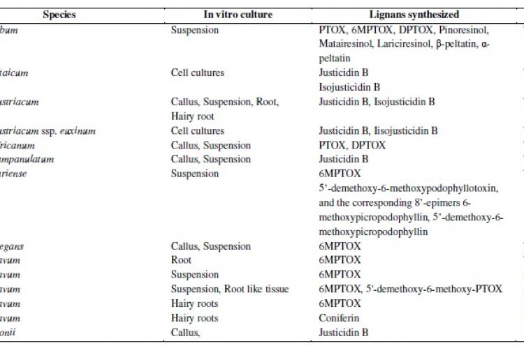Production of secondary metabolites from in vitro cultures of Linum species