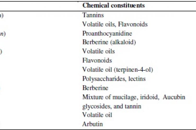 Active chemical constituents of some urologic herbs having antiinfectant activity against urinary tract infections