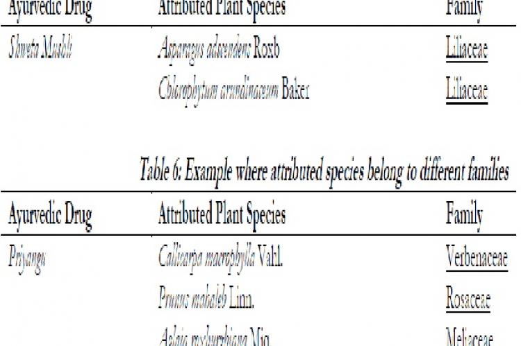 Example where attributed species belong to different genera of same family