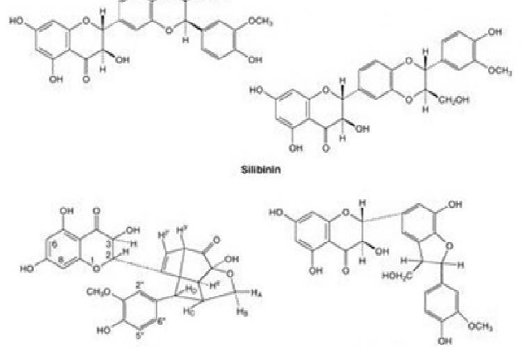 The three structural components of silymarin: silibinin, silydianine, and silychristine