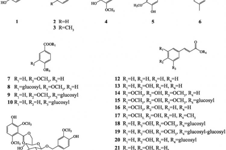 The structures of phenolics
