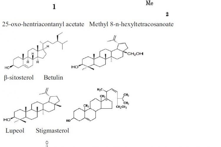 Major phytochemical constituents of H. spinosa