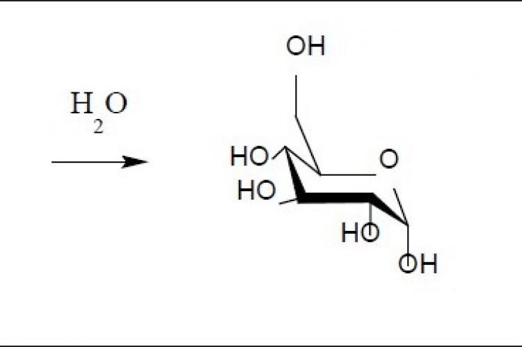Conversion of oligosaccharide to glucose