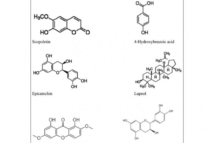 Structures of some biological compounds isolated from different parts of Trema orientalis plant