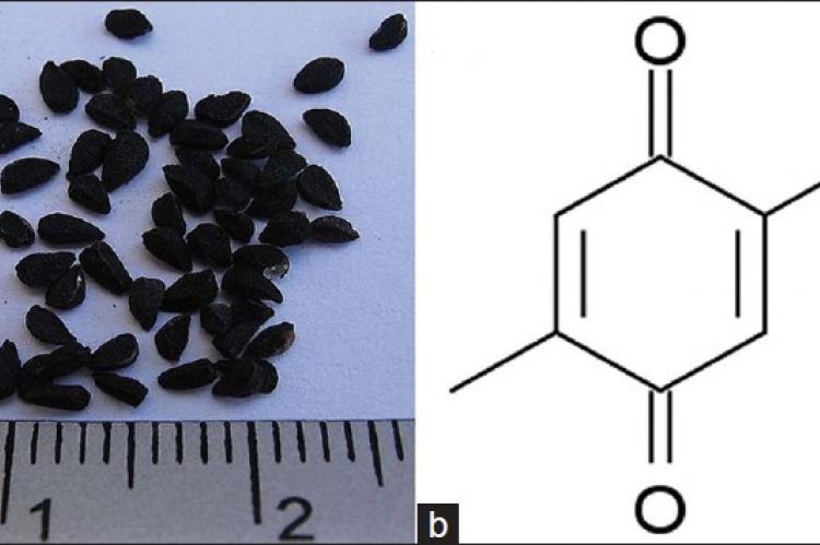 (a) Nigella sativa seeds (black seeds).