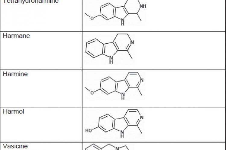 Molecular structure of major alkaloids of peganum harmala