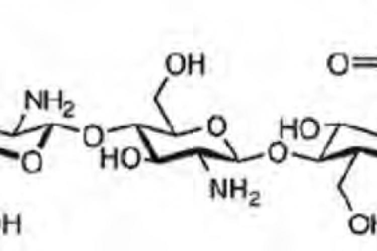 The chemical structure of chitosan