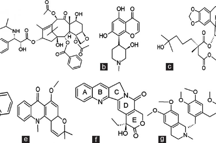 Chemical structures of some anticancer alkaloids isolated from trees
