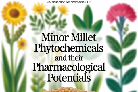 Minor Millet Phytochemicals and their Pharmacological Potentials