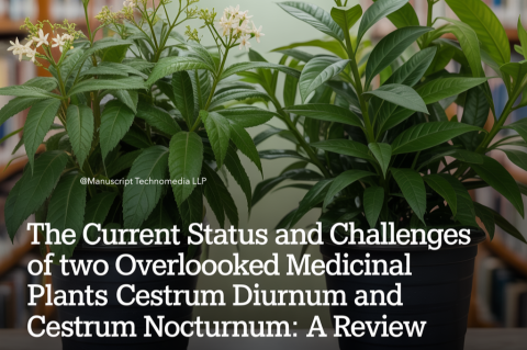The Current Status and Challenges of Two Overlooked Medicinal Plants Cestrum diurnum and Cestrum nocturnum: A Review
