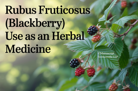 Rubus fruticosus (Blackberry) use as an Herbal Medicine